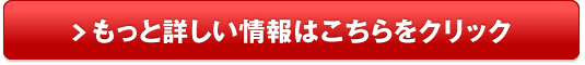 更燃王 コウネンキング販売サイトへ